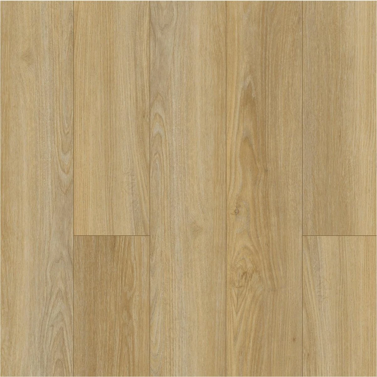 hammondhardware-11475563