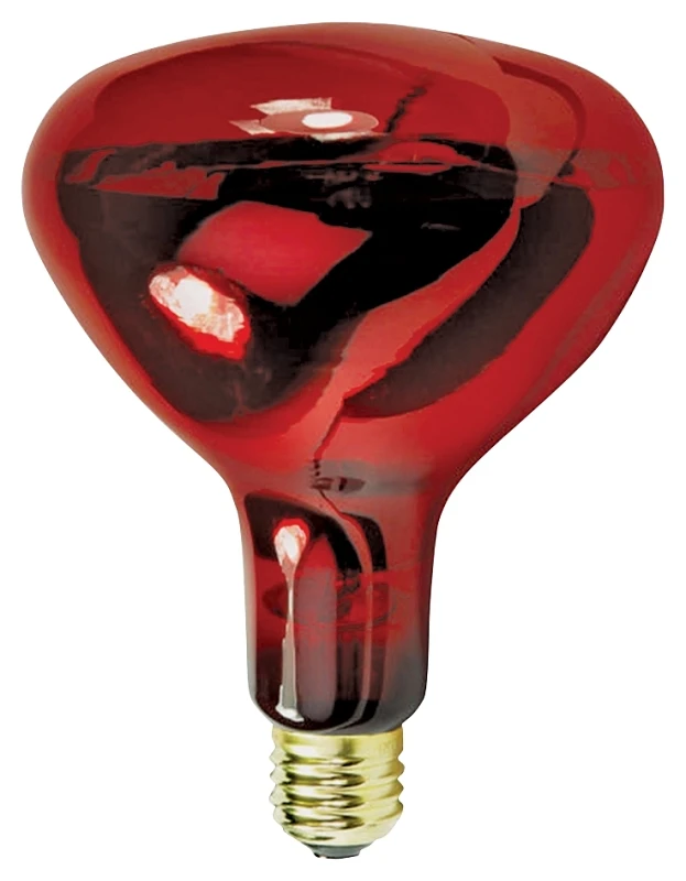 hammondhardware-11536656