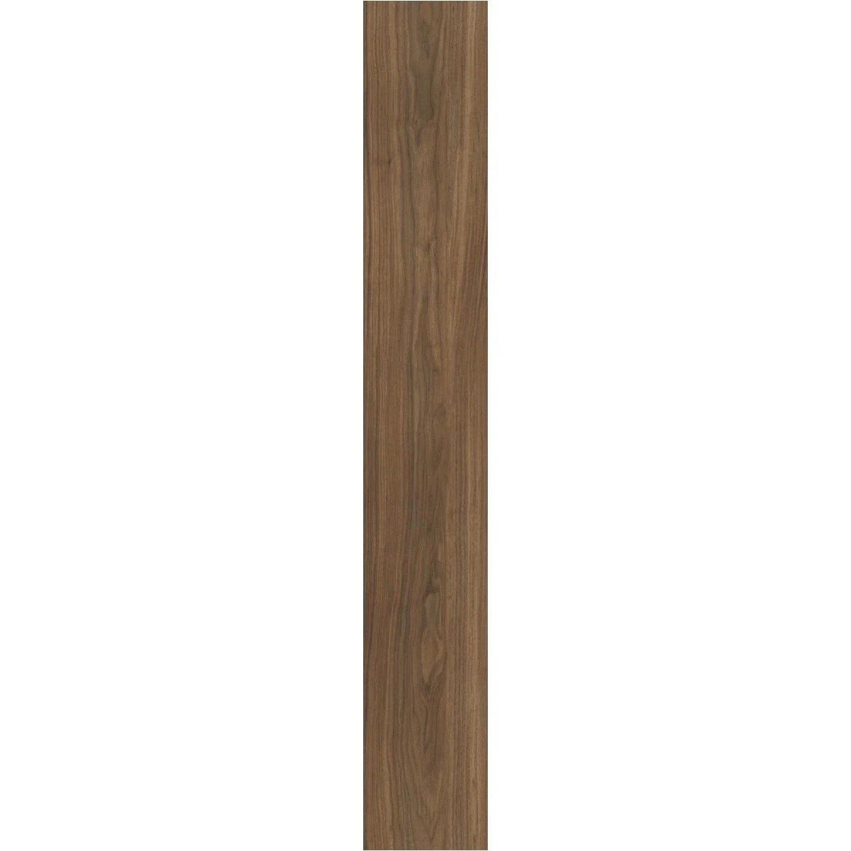 hammondhardware-11571487