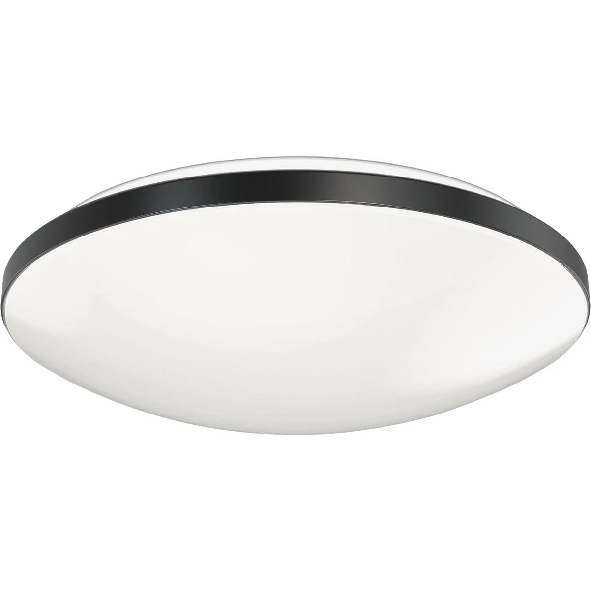 hammondhardware-11659409